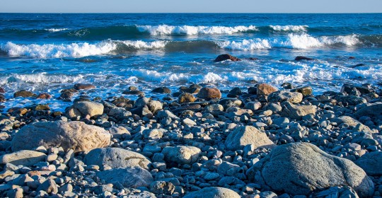 beach-8329531_1920
