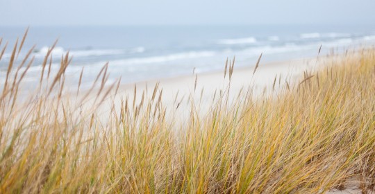 dunes-1936086_1920