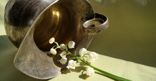 flowers-1753299_1920