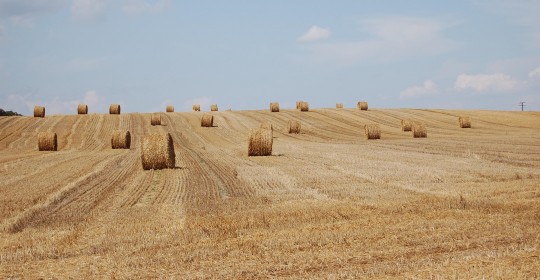 late-summer-162540_1920