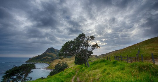 new-zealand-583174_1920