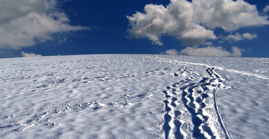 snow-tracks-63988_1920